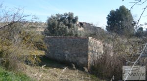 Finca en la huerta de Caspe con masía de piedra. a buen precio con olivos por 19.000€