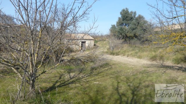 Finca en la huerta de Caspe con masía de piedra.