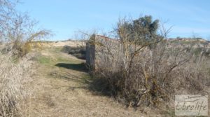 Vendemos Finca en la huerta de Caspe con masía de piedra. con acceso asfaltado