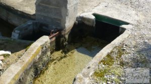 Detalle de Casa de campo en Maella con finca de frutales y olivos con arboles frutales