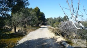 Foto de Casa de campo en Maella con finca de frutales y olivos en venta con arboles frutales por 97.000€