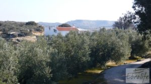 Foto de Casa de campo en Maella con finca de frutales y olivos con olivos