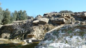 Casa de campo en Maella con finca de frutales y olivos en oferta con olivos