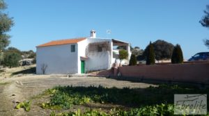 Casa de campo en Maella con finca de frutales y olivos a buen precio con arboles frutales