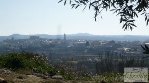 Foto de Casa de campo en Maella con finca de frutales y olivos con olivos por 97.000€