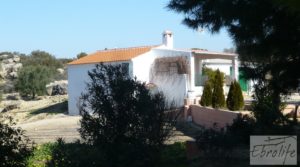 Casa de campo en Maella con finca de frutales y olivos a buen precio con arboles frutales