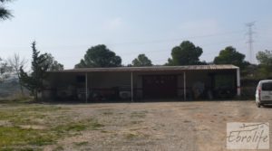 Plantación de cerezos en plena producción en Caspe. en venta con gran almacén