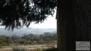 Foto de Plantación de cerezos en plena producción en Caspe. en venta con plena producción por 380.000€