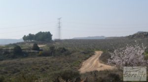 Plantación de cerezos en plena producción en Caspe. a buen precio con gran almacén por 380.000€