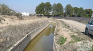 Foto de Plantación de cerezos en plena producción en Caspe. con riego por goteo