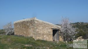 Vendemos Finca ecológica de regadío legal en Batea. con regadío