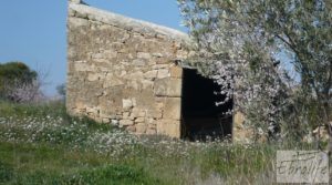 Finca ecológica de regadío legal en Batea. en oferta con masía de piedra por 28.000€