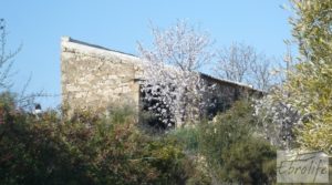 Detalle de Finca ecológica de regadío legal en Batea. con regadío