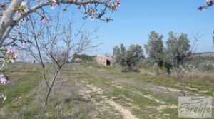 Vendemos Finca ecológica de regadío legal en Batea. con masía de piedra