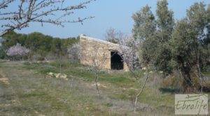 Foto de Finca ecológica de regadío legal en Batea. con masía de piedra por 28.000€