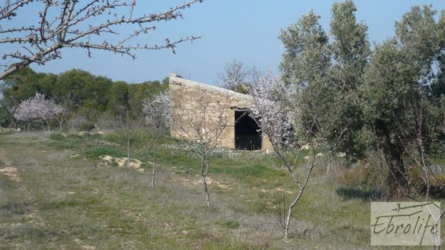 Finca ecológica de regadío legal en Batea.