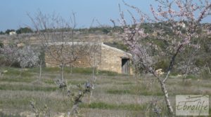 Finca ecológica de regadío legal en Batea. en oferta con masía de piedra