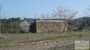 Finca ecológica de regadío legal en Batea. en oferta con regadío