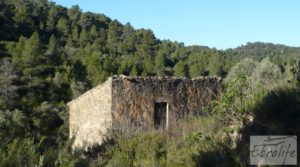 Vendemos Finca de olivos y bosque en Arens de Lledo. con buen acceso por 29.000€