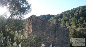 Finca de olivos y bosque en Arens de Lledo. en oferta con buen acceso por 29.000€