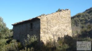 Foto de Finca de olivos y bosque en Arens de Lledo. con buen acceso por 29.000€