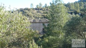 Foto de Finca de olivos y bosque en Arens de Lledo. en venta con buen acceso por 29.000€