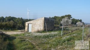 Vendemos Finca de viñedos en espaldera en Batea con finca