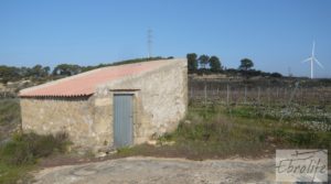 Detalle de Finca de viñedos en espaldera en Batea con finca