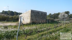 Detalle de Finca de viñedos en espaldera en Batea con finca