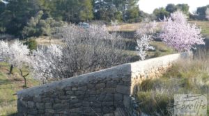 Foto de Finca con masía de piedra en Caseres con cultivo ecoloógico