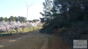 Finca con masía de piedra en Caseres en venta con cultivo ecoloógico por 19.000€