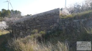 Detalle de Finca con masía de piedra en Caseres con cultivo ecoloógico por 19.000€