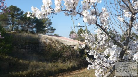 Finca con masía de piedra en Caseres