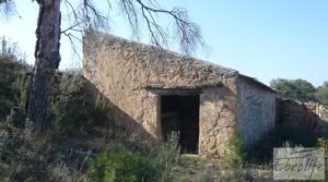 Se vende Finca de olivos con masía de piedra en Fabara con variedad tradicional de gran calidad por 18.000€