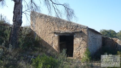 Finca de olivos con masía de piedra en Fabara