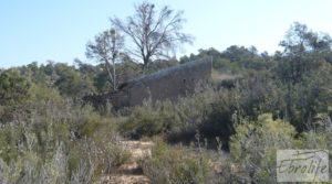 Foto de Finca de olivos con masía de piedra en Fabara en venta con variedad tradicional de gran calidad por 18.000€