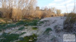 Foto de Finca de regadío entre Maella y Fabara en venta con regadío legal