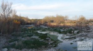 Se vende Finca de regadío entre Maella y Fabara con regadío legal