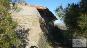 Vendemos Finca en la huerta de Caspe con masía de piedra. con ciruelos