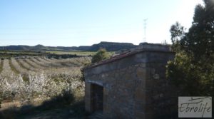 Detalle de Finca en la huerta de Caspe con masía de piedra. con acceso asfaltado por 19.000€