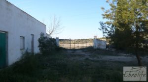 Foto de Finca de regadío con varias naves adaptadas para entrar a vivir. en venta con regadío