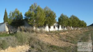 Vendemos Finca de regadío con varias naves adaptadas para entrar a vivir. con regadío por 85.000€