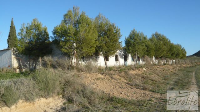 Finca de regadío con varias naves adaptadas para entrar a vivir.