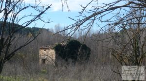 Se vende Huerta en Torre del Compte con muchas posibilidades. con agua abundante de riego