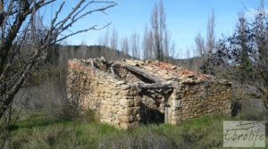 Detalle de Huerta en Torre del Compte con muchas posibilidades. con agua abundante de riego