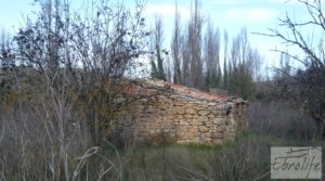 Huerta en Torre del Compte con muchas posibilidades. a buen precio con agua abundante de riego