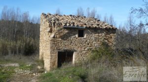 Detalle de Huerta en Torre del Compte con muchas posibilidades. con agua abundante de riego