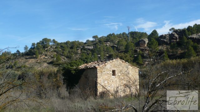 Huerta en Torre del Compte con muchas posibilidades.