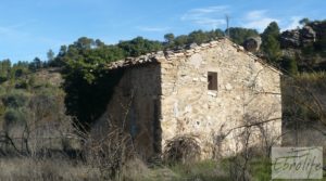 Detalle de Huerta en Torre del Compte con muchas posibilidades. con agua abundante de riego por 49.000€