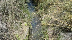 Foto de Huerta en Torre del Compte con muchas posibilidades. con agua abundante de riego